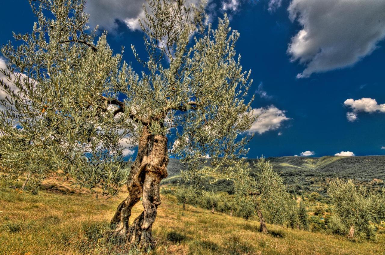 Отель Borgo Solamore Кортона Экстерьер фото