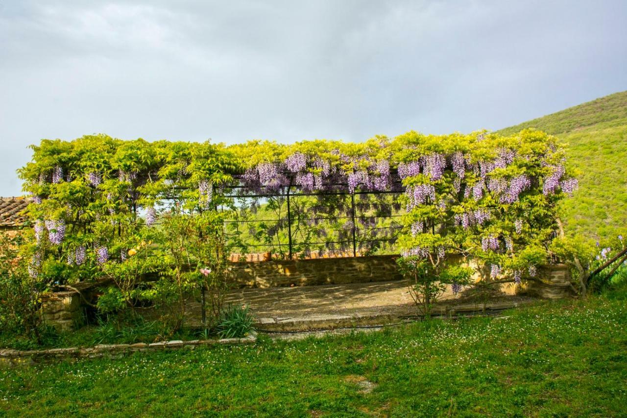 Отель Borgo Solamore Кортона Экстерьер фото